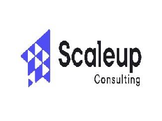 Digital Marketing & IT Consulting Services | Scaleup Consulting